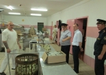 ИК-8 Зелёный