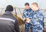 КП-3 Новый Сад