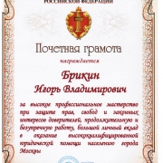Брикин Игорь Владимирович